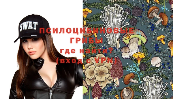 шишки Алзамай
