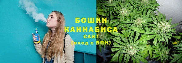 PSILOCYBIN Абдулино