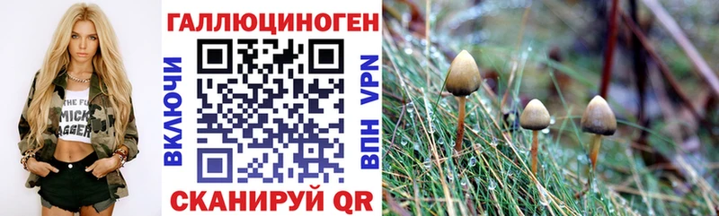 Псилоцибиновые грибы Cubensis  Звенигород 